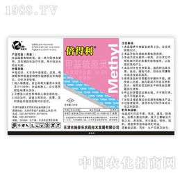 施普樂(lè)速白美齒組 6天連續(xù)使用，科技點(diǎn)亮美白笑容